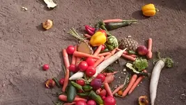 DSC_1316 (4).webp DSC_1316 (4).webp