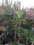 IMG_0455.JPG