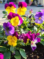 20211024_114548.webp