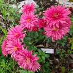 20211024_114453.webp