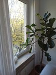 IMG_20211024_111208.jpg