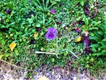 IMG_20211024_181744_1.jpg