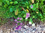 IMG_20211024_181759.jpg