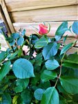 IMG_20211024_181853.jpg