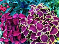 IMG_20210711_155723.webp