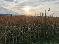 IMG_20211026_164129.webp