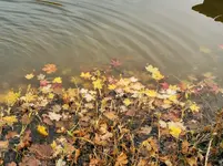 IMG_20211026_165838.webp