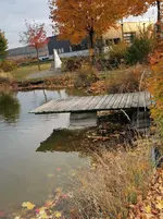 IMG_20211026_165905.webp