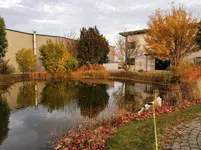 IMG_20211026_170126.webp