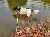 IMG_20211026_170259.webp