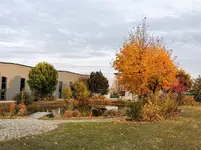 IMG_20211026_170448.webp