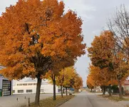 IMG_20211026_170838.webp
