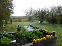 P1050530.JPG