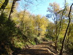 P1050540.JPG