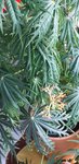 20211027_170652.jpg