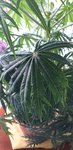 20211027_170708.jpg