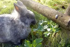 DSCN3695.webp