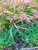 IMG_20200908_130619.webp
