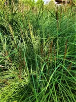 IMG_20210907_140451_3.webp