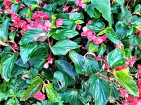 IMG_20201018_144555_1.webp