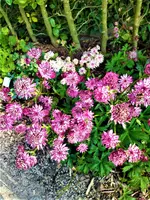 IMG_20210907_155234_1.webp