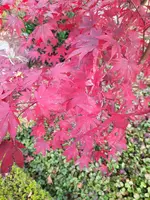 20211029_130647.webp