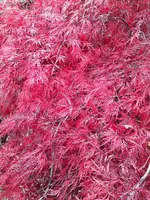 20211029_130705.webp