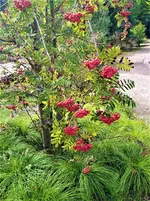 IMG_20210910_153040_1.webp