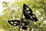 image005.jpg
