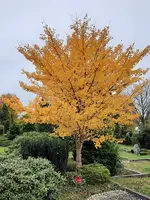 20211030_113525.webp