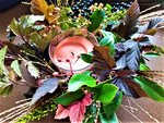 IMG_20211030_130024_2.jpg