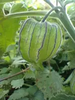 IMG_20211027_164403.webp