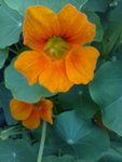 IMG_20211027_164343.jpg