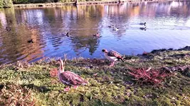 DSC_1506 (2).webp