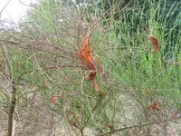DSCI0632 (1).webp