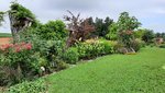 20210720_090257 v.jpg