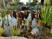 20210814_191725 v.webp