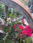 20210911_172942 v.jpg