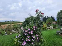 20210731_090457 v.webp