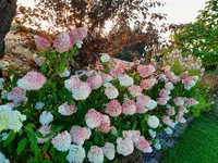 20210814_195619 n.webp
