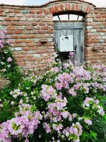 20210730_071747v.webp