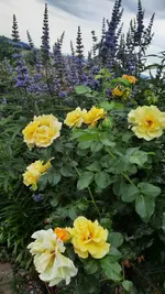 20210822_165132.webp