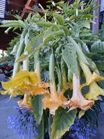 20210906_194014.webp