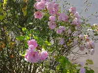 DSC02132.JPG