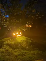 20211101_071525.webp