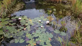 DSC_0102 (4).webp