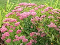 DSCI0749 (1).webp