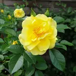 20211101_191755.webp