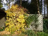 P1050651.webp
