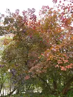 P1050680.webp